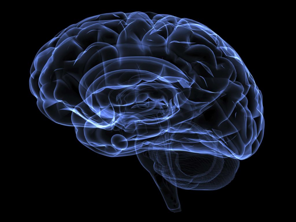 brain graphic on black background