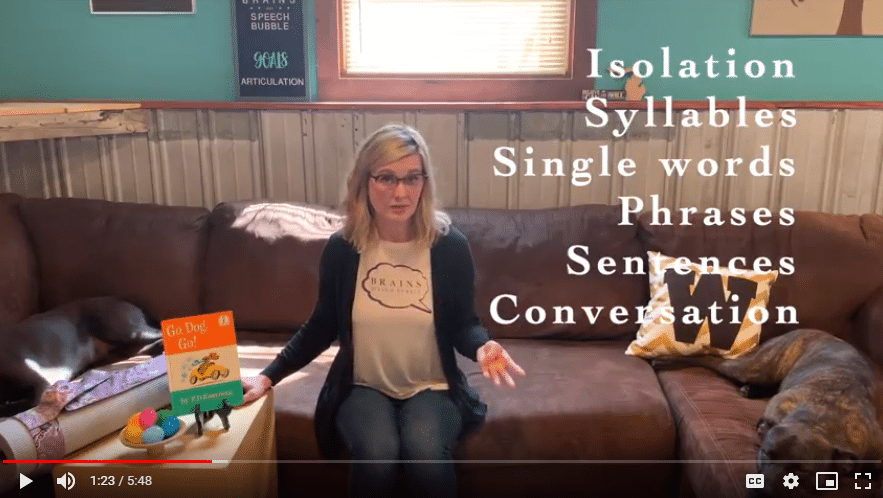 Isolation Syllables Single words Phrases Sentences Conversation graphic